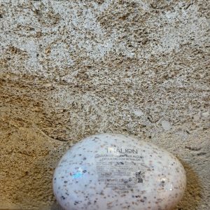 SAVON EXFOLIANT AUX ALGUES